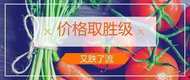 卖菜短视频爆料文案,卖菜背后的真实故事