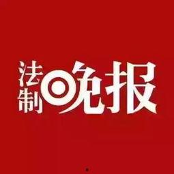 趣事新闻爆料网站,揭秘网络爆料的神奇瞬间
