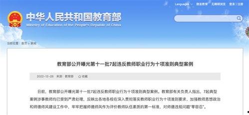 高校教师爆料案例大全最新,揭秘教育行业背后的真相与挑战