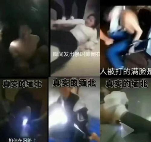 爆料缅北诈骗视频真实,真实视频曝光惊人内幕