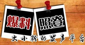 新闻爆料台,揭秘热点事件背后的真相