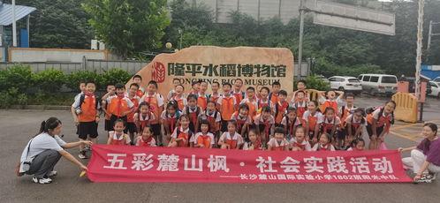 长沙小学爆料事件最新进展,真相逐步浮出水面，家长关切持续关注