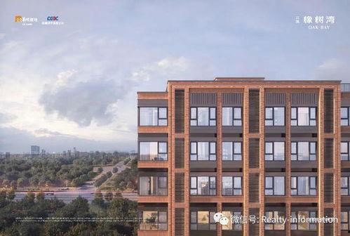 北清橡树湾爆料事件视频,事件真相与争议焦点