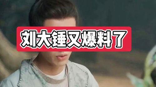 刘大锤周四的爆料视频,热点事件背后真相曝光