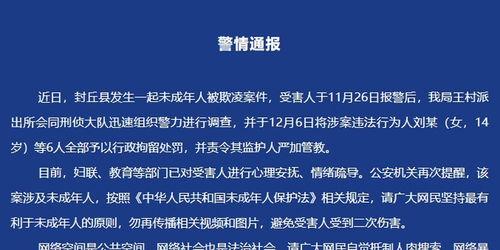 公安爆料欺凌事件最新消息,公安最新调查进展披露”