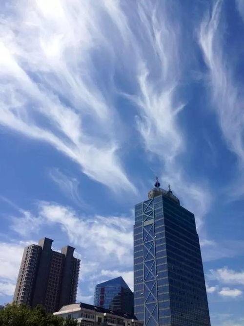 石家庄蓝天最新爆料