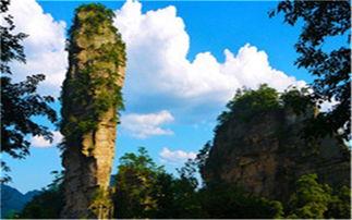 张家界导游爆料视频,探秘世界自然遗产的神秘面纱