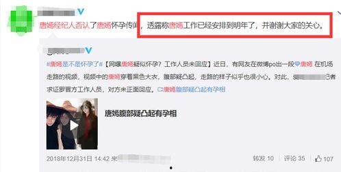 知南顾北爆料视频大全最新,揭秘热点事件，洞察社会真相