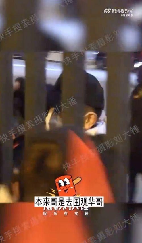 狗仔拍照爆料视频大全,揭秘明星幕后生活瞬间