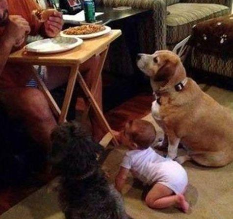 老二狗的外婆爆料视频