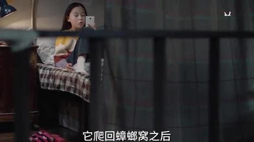 沈阳孩子爆料视频最新,揭露校园霸凌惊人内幕