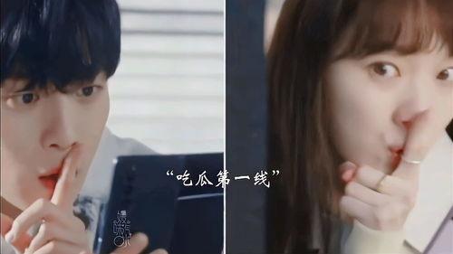 吃瓜爆料夫妇视频大全下载,甜蜜瞬间尽收眼底