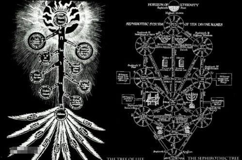 生命之树在线观看,跟随生命之树在线之旅