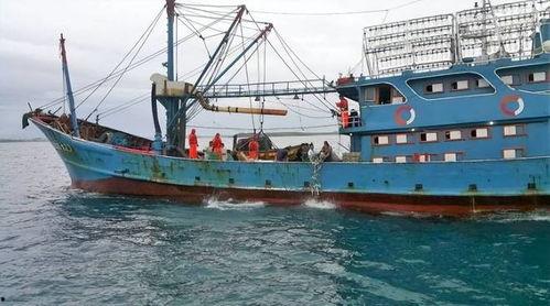 爆料渔船视频播放大全最新,海上捕捞瞬间大盘点